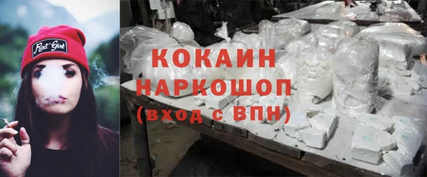 spice Инта