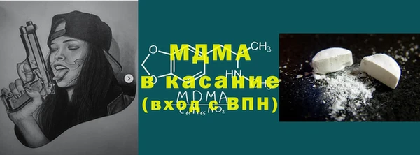 spice Инта