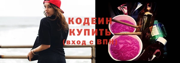 spice Инта