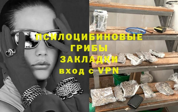 молекула духа Каменск-Шахтинский