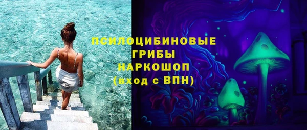 ешки Каменногорск