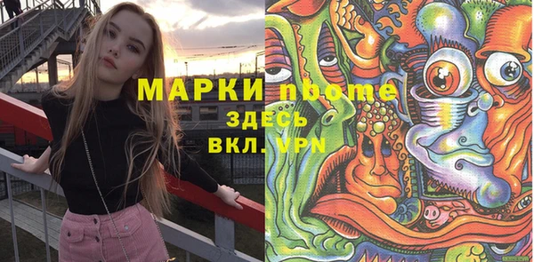 spice Инта