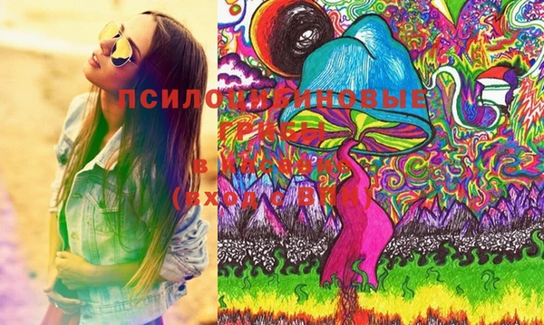 ешки Каменногорск