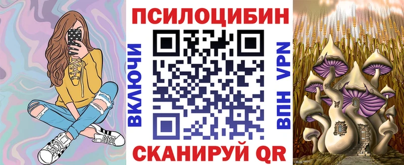 Псилоцибиновые грибы прущие грибы  Купить  Данилов 